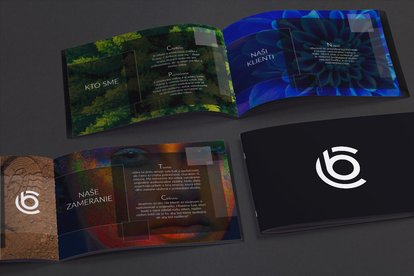 Portrait, camera and logo application