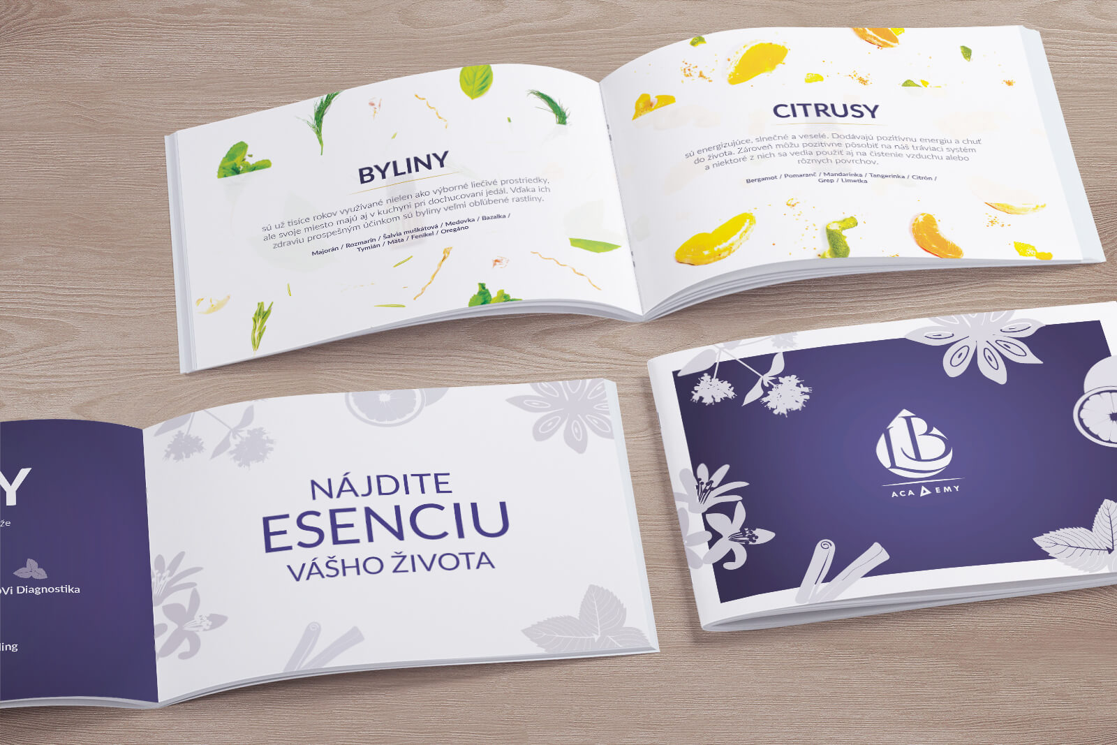 Logo / nature visual