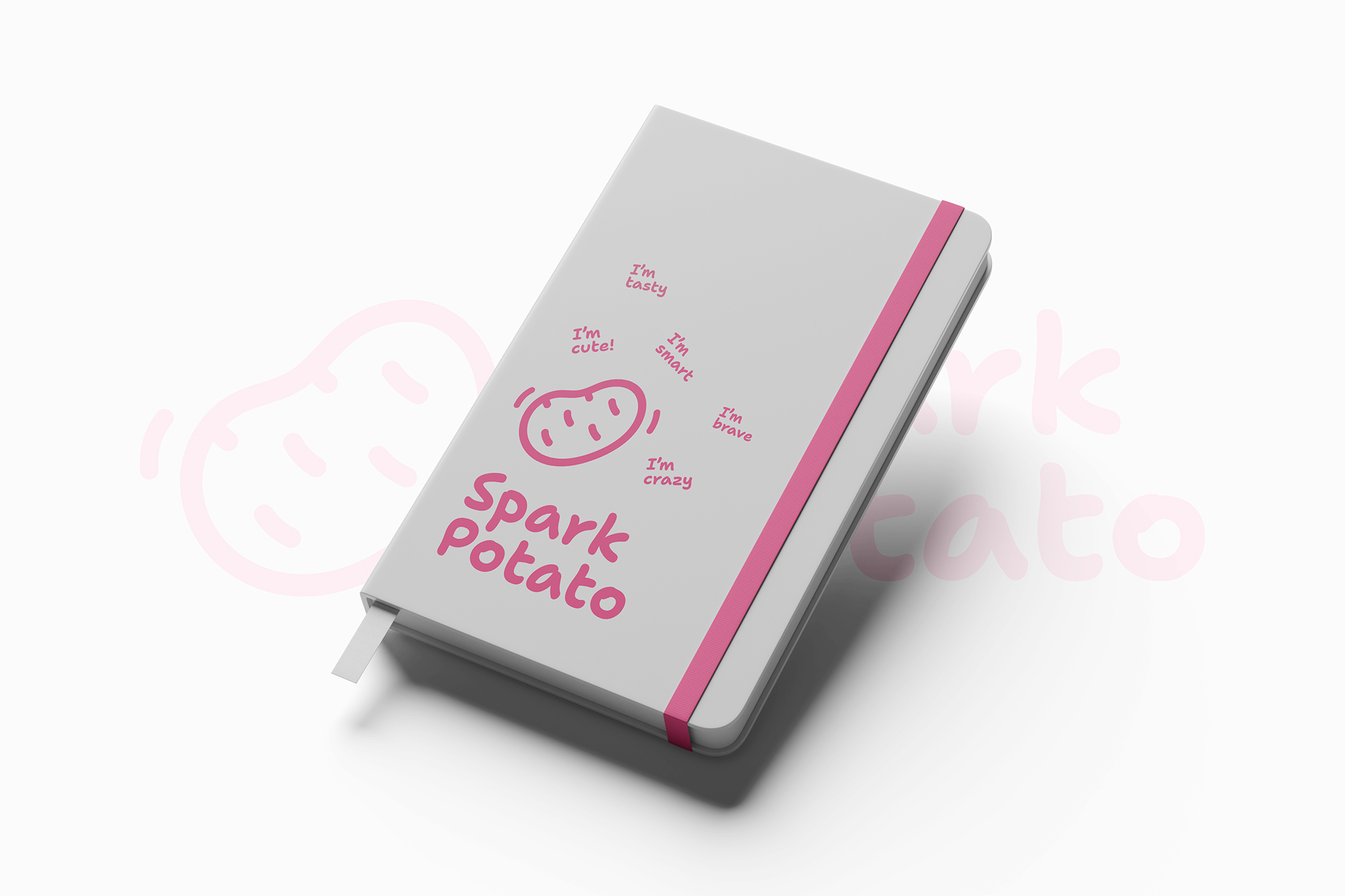 SparkPotato notebook