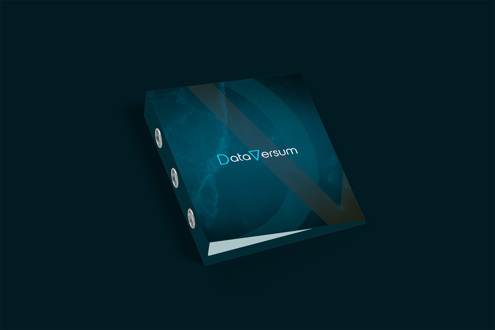 The wordmark itself